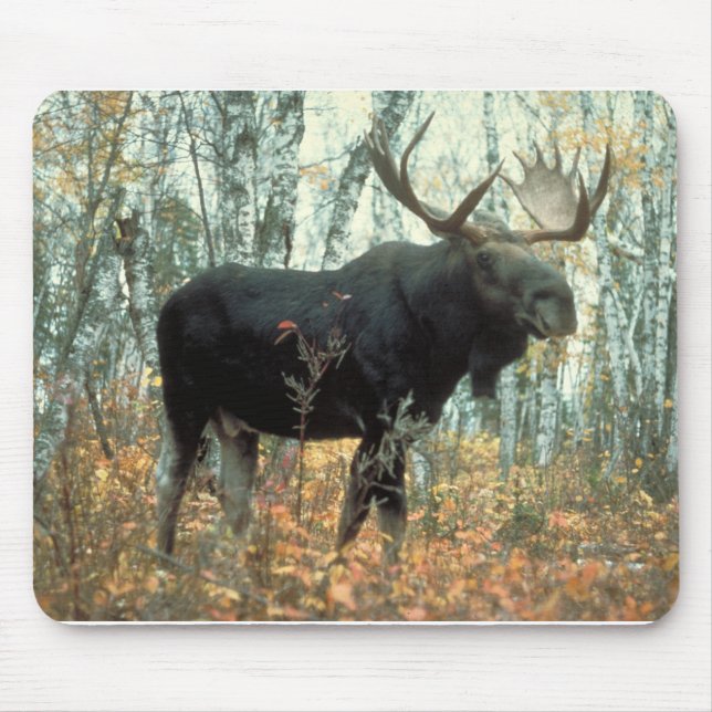 Tapis De Souris Moose Forest Trees Parc Animal Wildlife Art (Devant)
