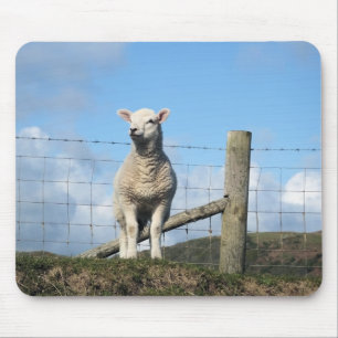 TAPIS DE SOURIS MOQUETTE