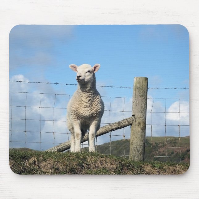 TAPIS DE SOURIS MOQUETTE (Devant)