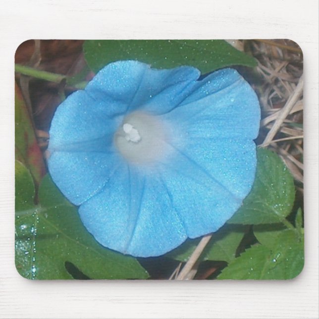 Tapis de souris Morning Glory (Devant)