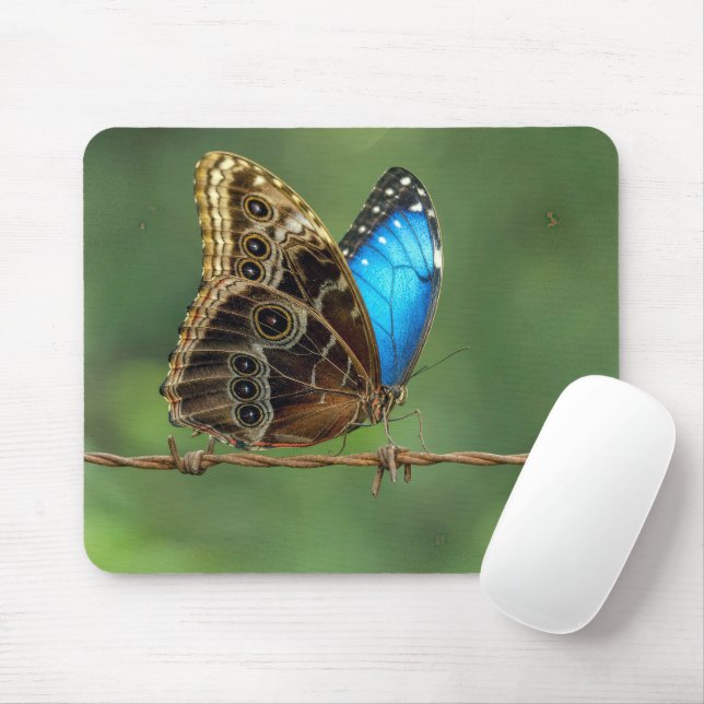 Tapis De Souris Morpho commun papillon sur fil de fer barbelé (Avec souris)