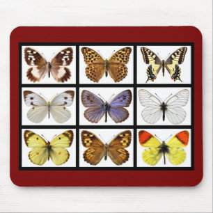 Tapis De Souris Mosaic photos of butterflies
