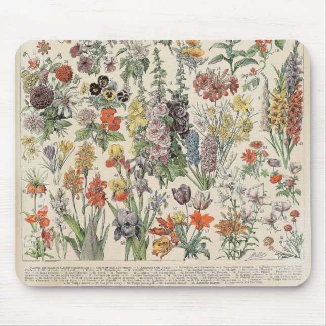 Tapis De Souris Motif botanique vintage (Devant)