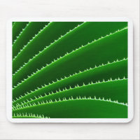 Motif de feuille verte Spiky
