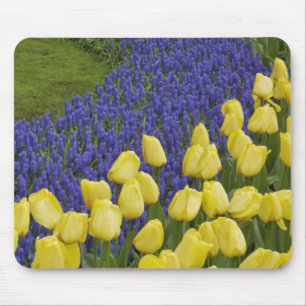 Tapis De Souris motif de jardin de fleurs de raisin Hyacinth et