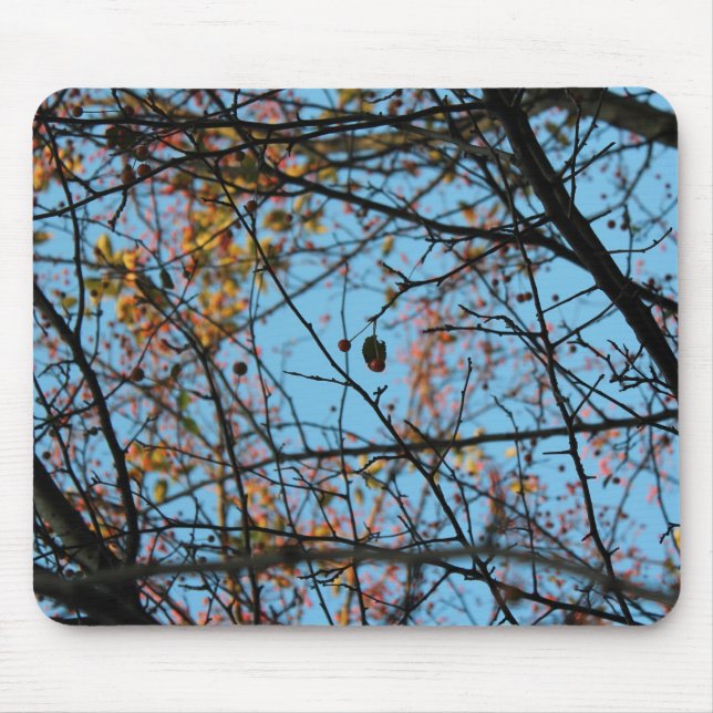 Tapis De Souris Motif de la nature (Devant)