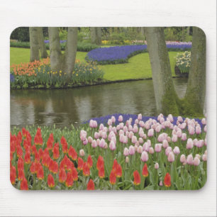Tapis De Souris Motif de tulipes et de fleurs de muscari.