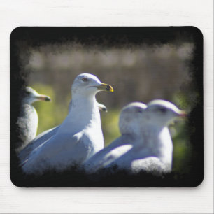 Tapis De Souris Mouette sur rail