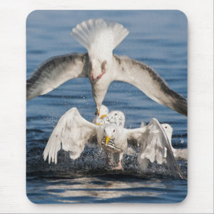 Tapis De Souris Mouettes de plongée