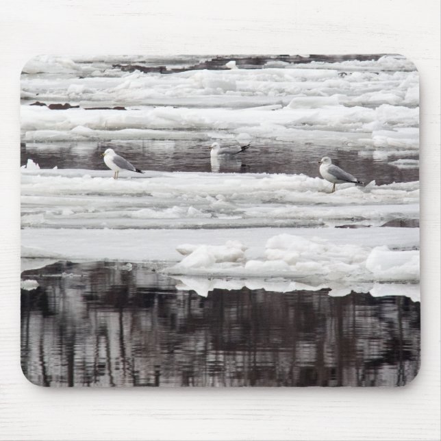Tapis De Souris Mouettes sur la glace (Devant)