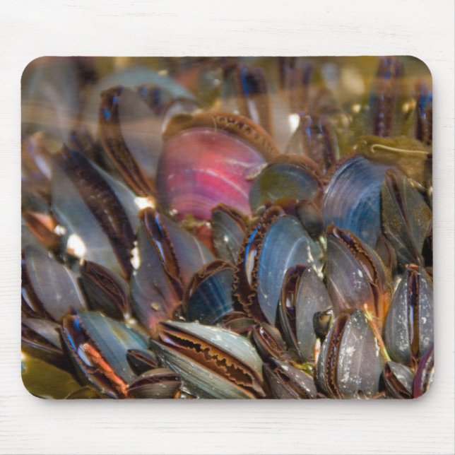Tapis De Souris Moules sous l'océan (Devant)