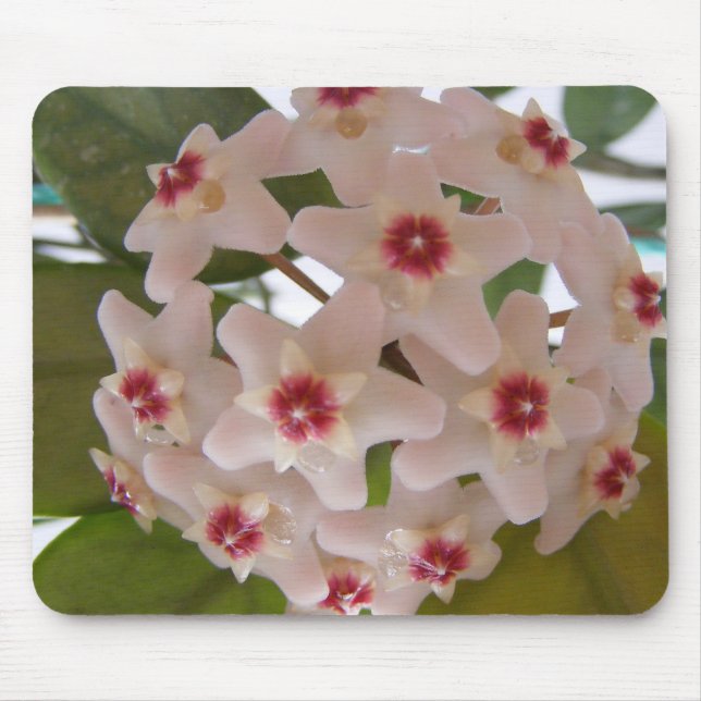 Tapis De Souris Mouse pad with flowers (Devant)