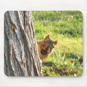 Tapis De Souris Mousepac