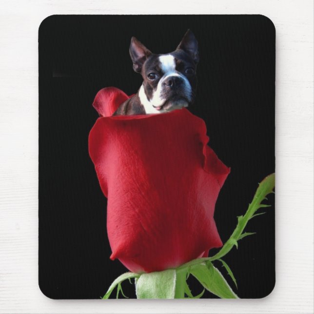 Tapis De Souris Mousepac de la rose rouge (Devant)