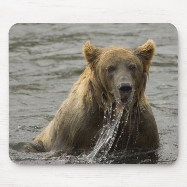 Tapis De Souris Mousepac de pêche à l'ours Brown (Devant)