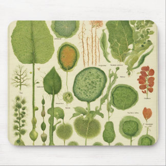 Tapis De Souris Mousepad