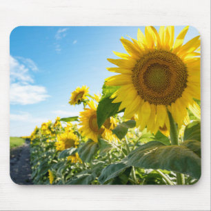 Tapis De Souris Mousepad