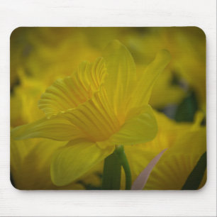 Tapis De Souris Mousepad