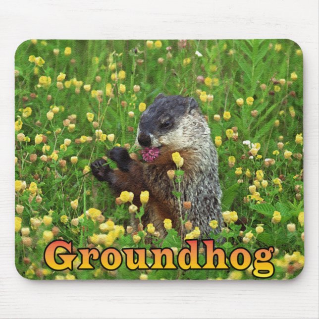 Tapis De Souris Mousepad (Devant)