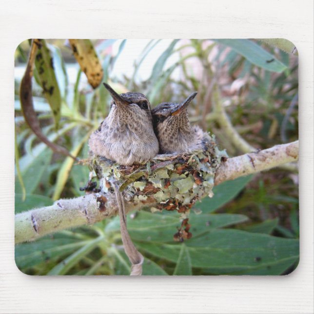 Tapis De Souris Mousepad (Devant)