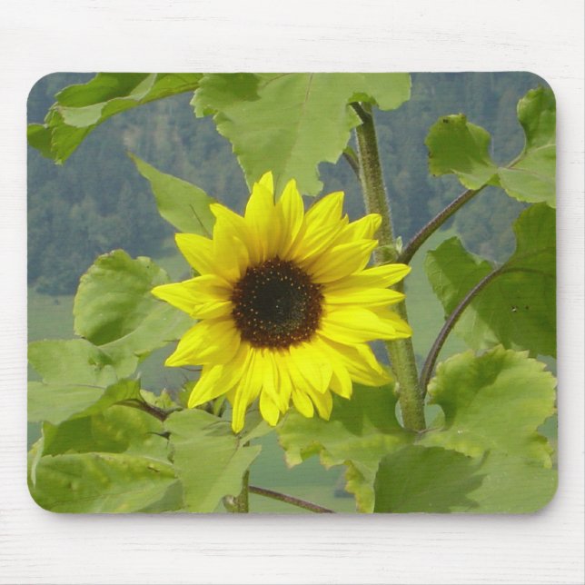 TAPIS DE SOURIS MOUSEPAD (Devant)