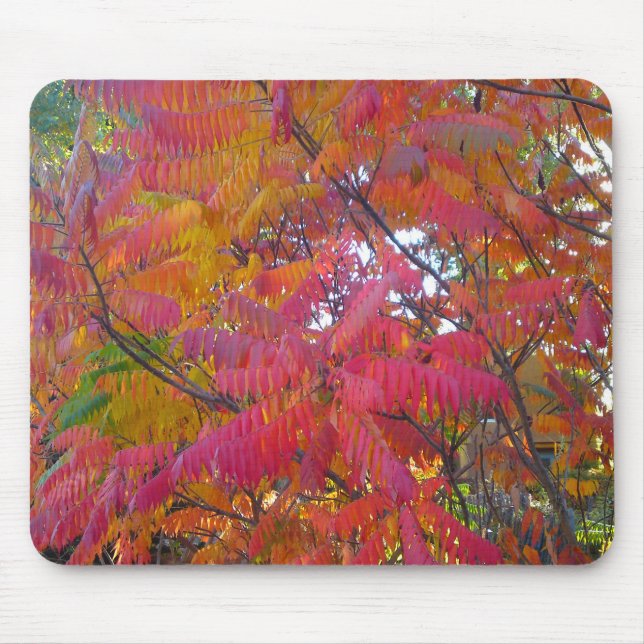 Tapis De Souris Mousepad à feuilles rouges (Devant)