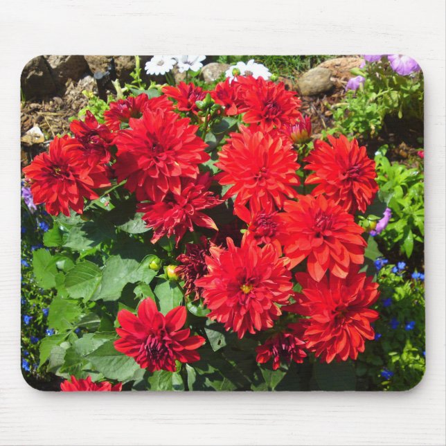Tapis De Souris Mousepad à fleurs de Dahlia rouge (Devant)