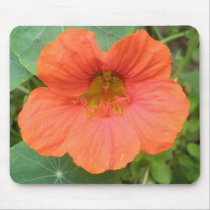 Tapis De Souris Mousepad à fleurs de Nasturtium orange