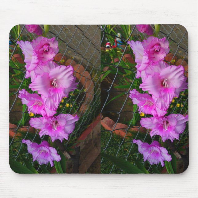 Tapis De Souris Mousepad à la fleur violette de Gladiola (Devant)