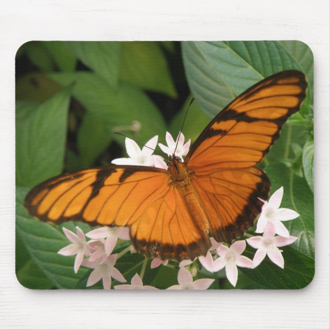 Tapis De Souris Mousepad à papillon orange Julia (Devant)
