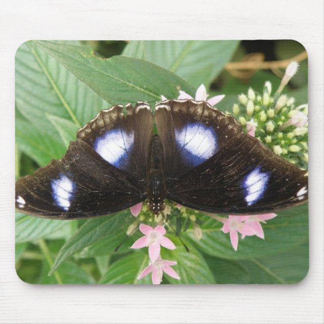 Tapis De Souris Mousepad à papillon tacheté bleu (Devant)