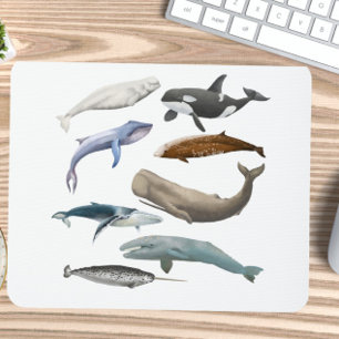 Tapis De Souris Mousepad à thème baleine