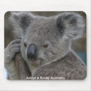 Tapis De Souris Mousepad Adopter Un Koala Australie