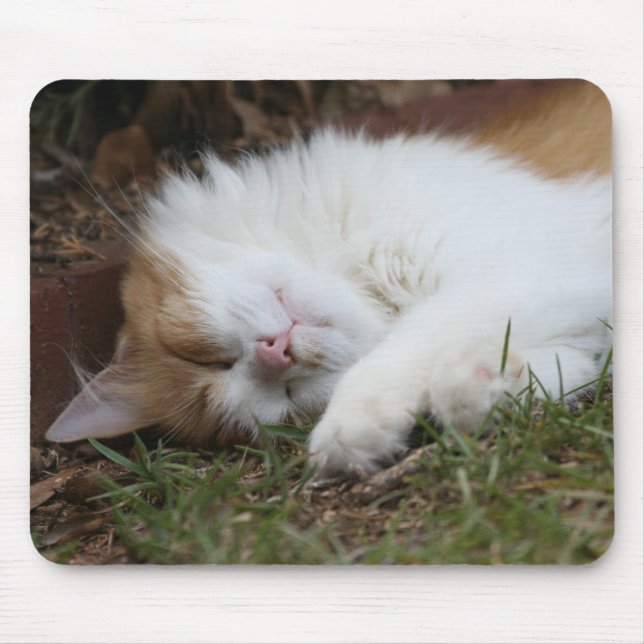 Tapis De Souris mousepad adorable de chat de sommeil (Devant)