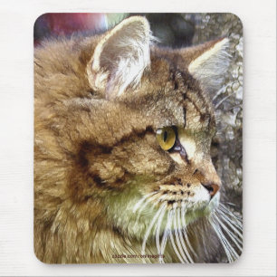 Tapis De Souris Mousepad amateur de chats "Cat Mat" Maine Coon