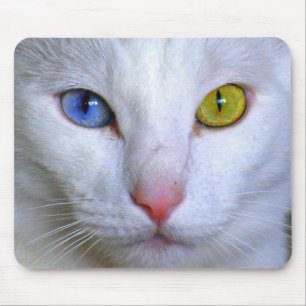 Tapis De Souris Mousepad angora turc