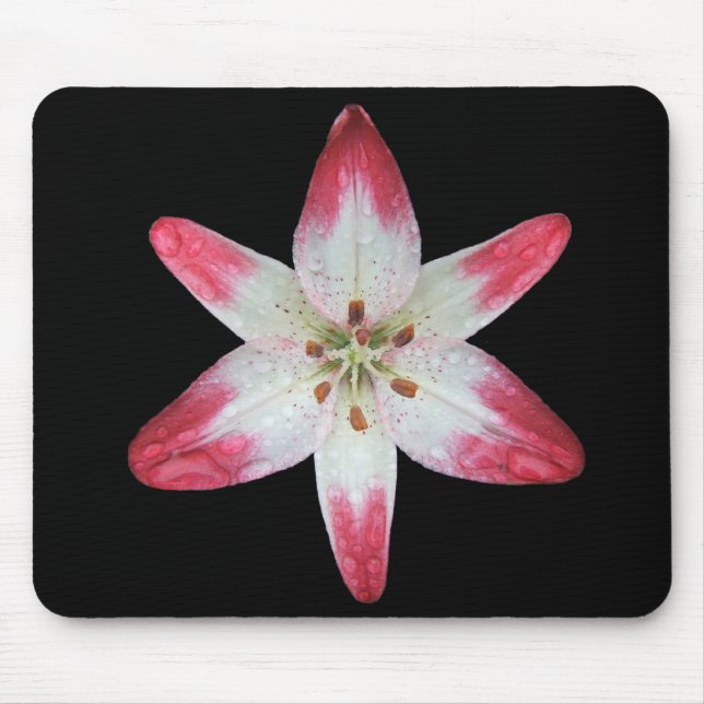 Tapis De Souris Mousepad asiatique de ~ de "lucette" de lis (Devant)