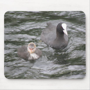 Tapis De Souris Mousepad au pied et au poulet