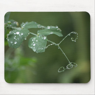 Tapis De Souris Mousepad aux larmes de pois verts