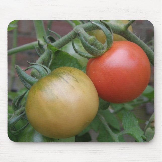 Tapis De Souris Mousepad aux tomates orange et rouge (Devant)