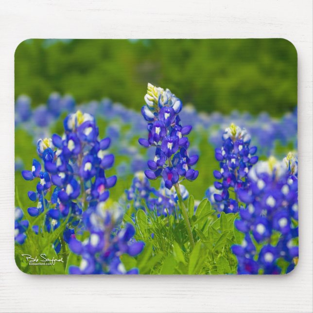 Tapis De Souris Mousepad bleu de capots du Texas (Devant)