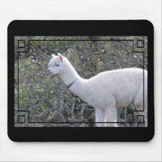 Tapis De Souris Mousepad - Cadre pour votre image