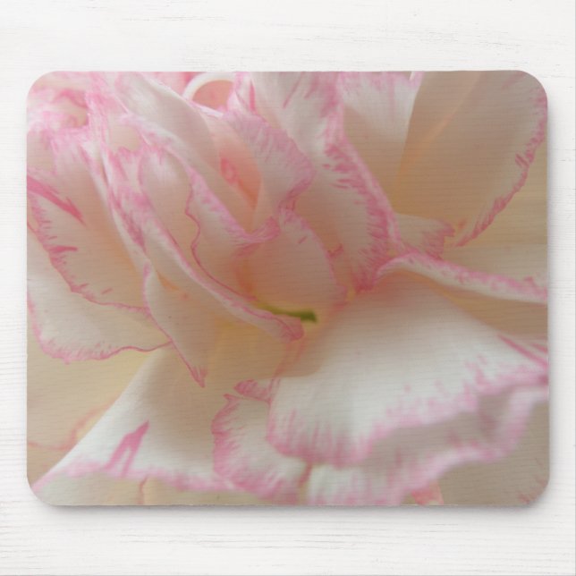 Tapis De Souris Mousepad carnation rose et blanc (Devant)