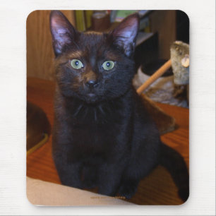 Tapis De Souris Mousepad chat noir mignon