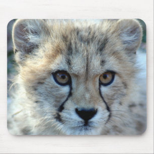 Tapis De Souris Mousepad-cheetah-cub10x10