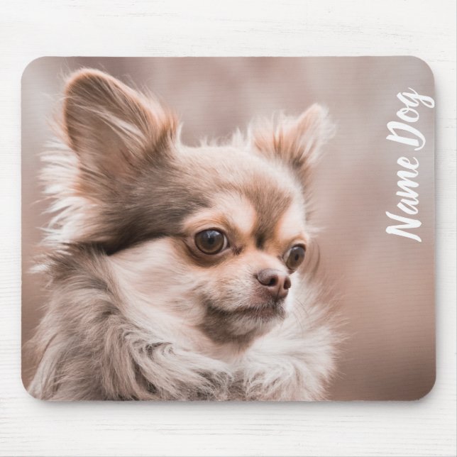 TAPIS DE SOURIS MOUSEPAD CHIHUAHUA (Devant)