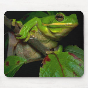 Tapis De Souris Mousepad d'amants de grenouille