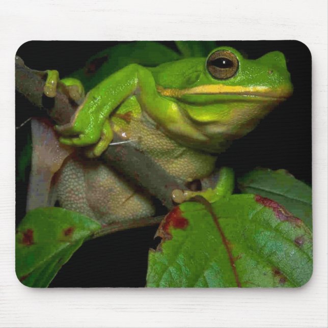 Tapis De Souris Mousepad d'amants de grenouille (Devant)