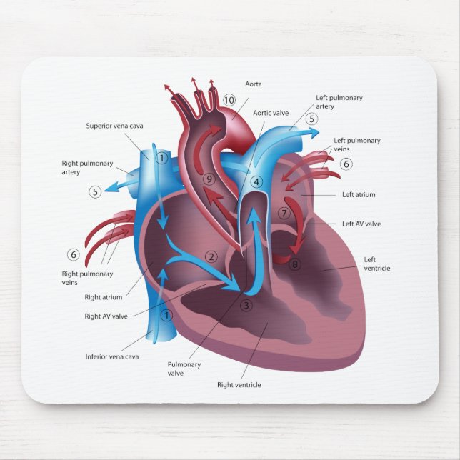 Tapis De Souris Mousepad d'anatomie de coeur (Devant)