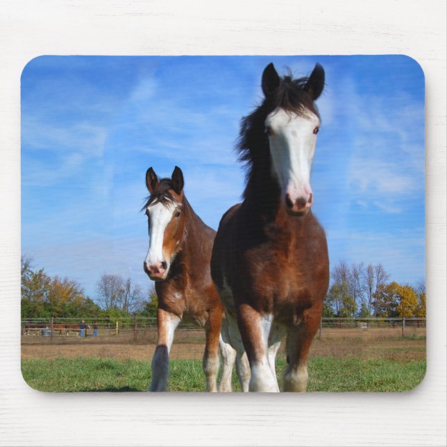 Tapis De Souris Mousepad de 2 Clydesdales (Devant)